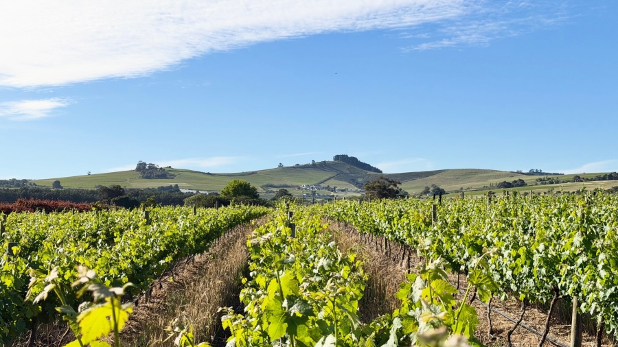 Commercial Property for Sale in Stellenbosch Farms Western Cape